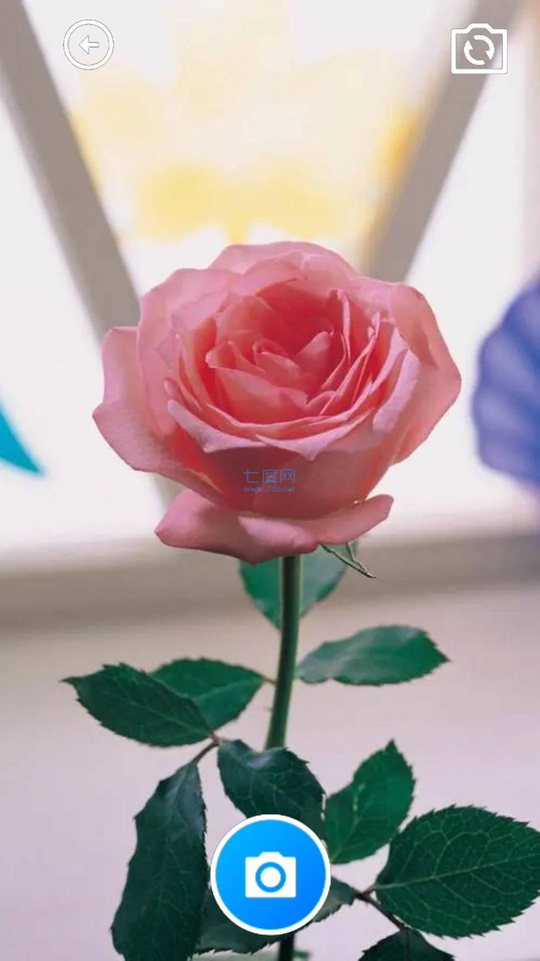 如意宝盒正版截图1