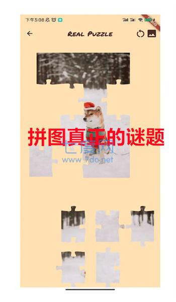 拼图真正的谜题(Real Puzzle)截图2