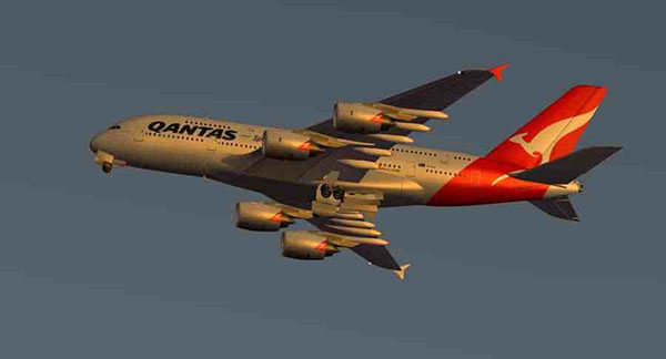 Infinite Flight飞行模拟器截图0