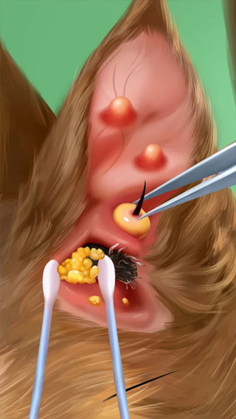 疯狂医院达什医生最新版截图2