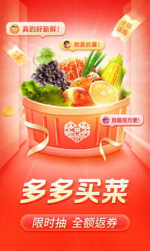 拼夕夕官方正版app（拼多多）界面展示2