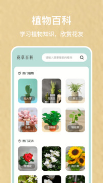 識別植物掃一掃界面展示2