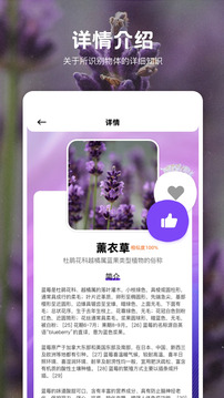 識物界面展示2