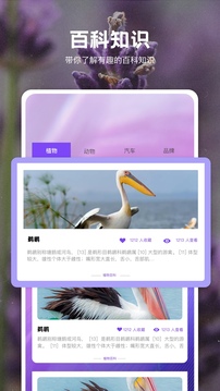 識物界面展示2