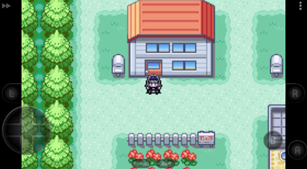 口袋妖怪火红萌娘版截图0