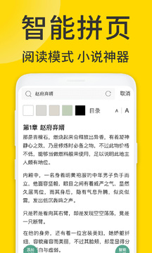 viax瀏覽器界面展示2