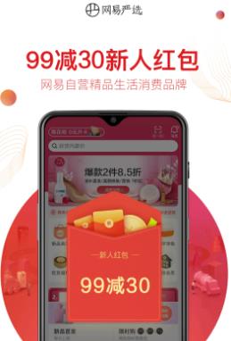 網(wǎng)易嚴選界面展示2