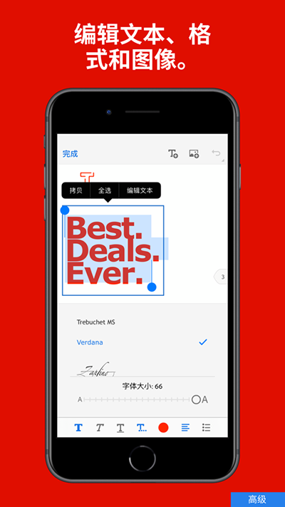 Adobe Acrobat Reader界面展示2