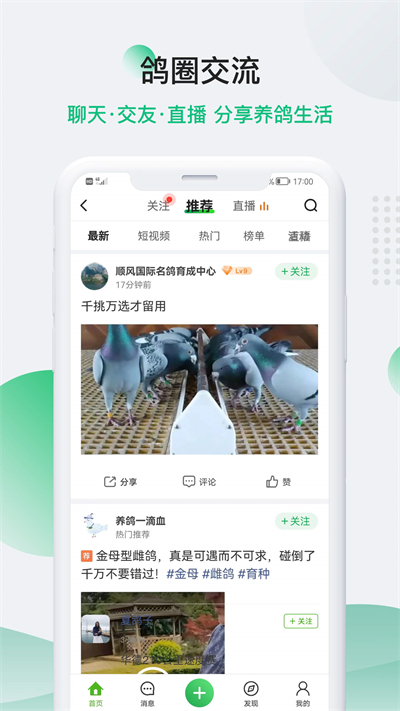 中國(guó)信鴿信息網(wǎng)app最新版界面展示2