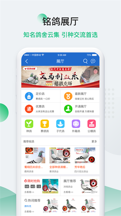 中國(guó)信鴿信息網(wǎng)app最新版界面展示2