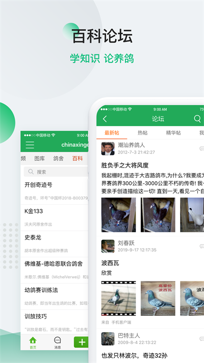 中國(guó)信鴿信息網(wǎng)app最新版界面展示2