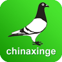 中國(guó)信鴿信息網(wǎng)app最新版