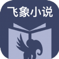 飛象小說