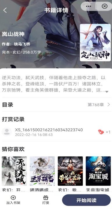 飛象小說界面展示2