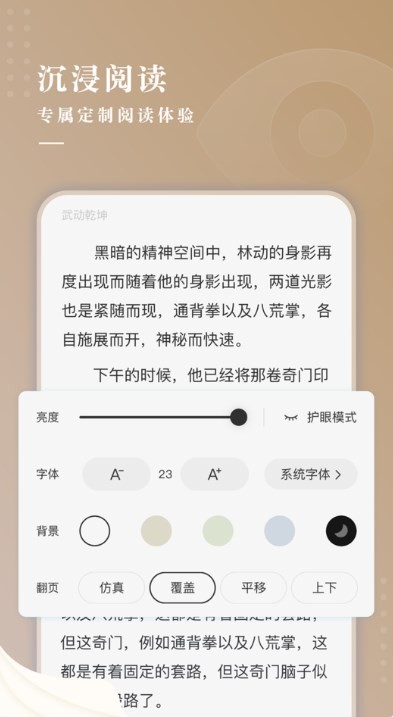 牽龍小說界面展示2
