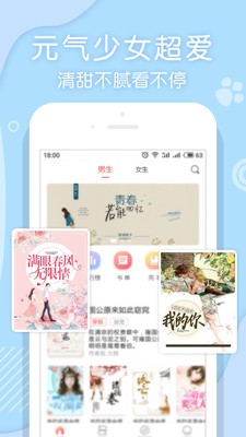 翻糖小說界面展示2