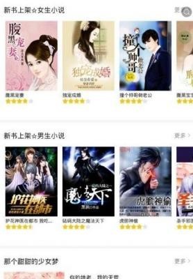 紅橙小說界面展示2