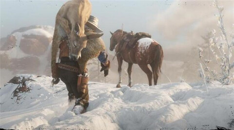 荒野大镖客2手机版截图3