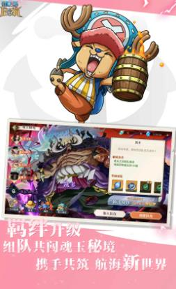 航海王启航截图2