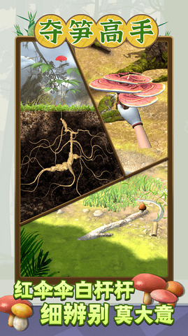 夺笋高手官方正版截图3
