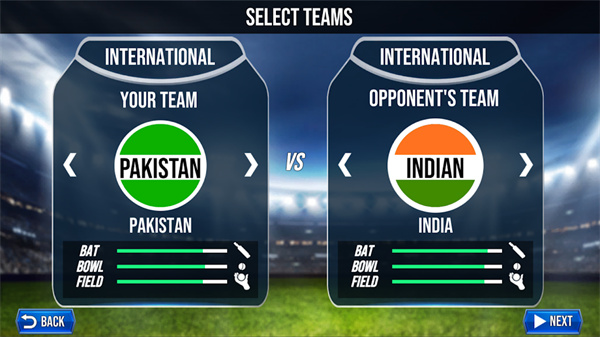 一起玩板球比赛截图0